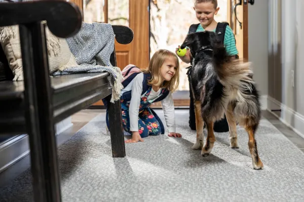 Kids playing with a dog on a durable area rug