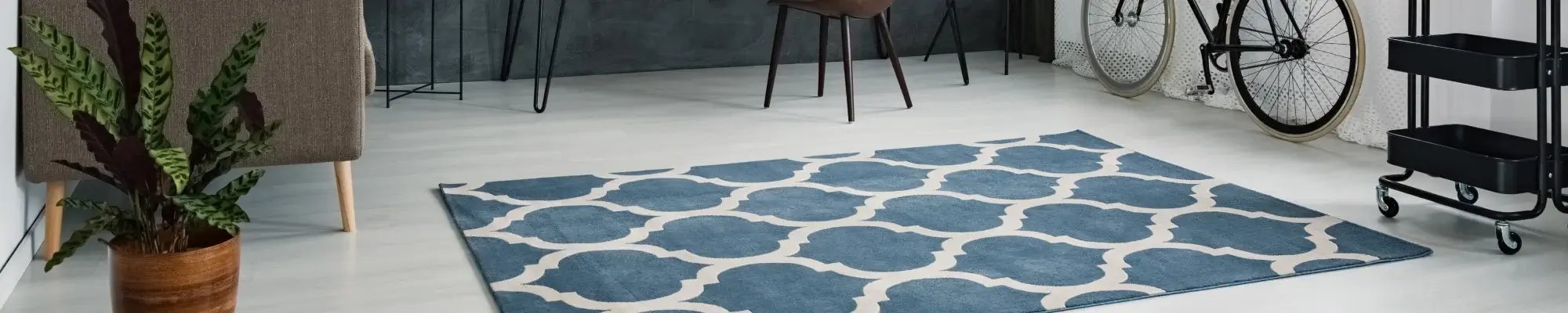 Blue and white patterned area rug in Dayton Ohio