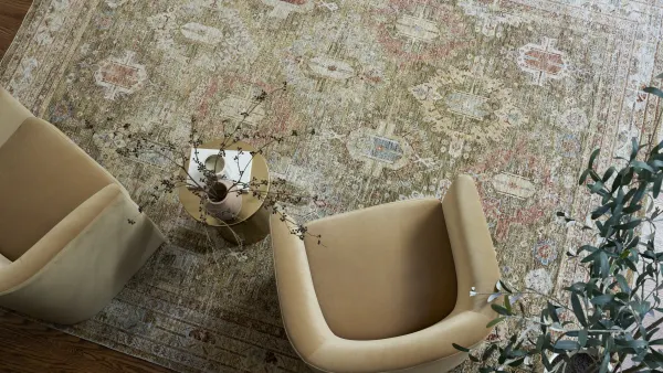 Timeless vintage look distressed area rug
