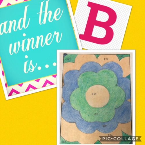 Rug Design Winner in Dayton OH