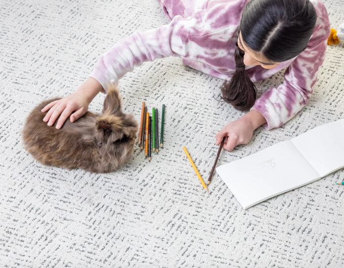 Girl playing with a pet bunny on a durable area rug