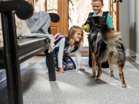 Kids playing with a family dog on a durable area rug
